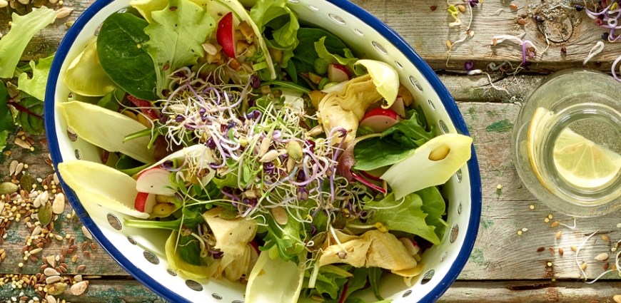 Salade de luzerne et chicons