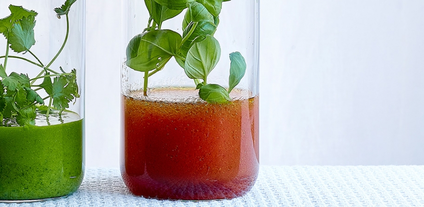 Vinaigrette à la tomate