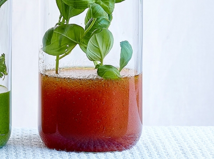 Vinaigrette à la tomate