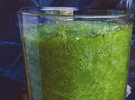 Shake vert de fenouil, Granny Smith et menthe fraîche