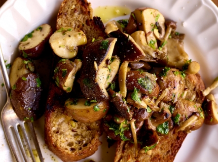 Toasts aux champignons des bois