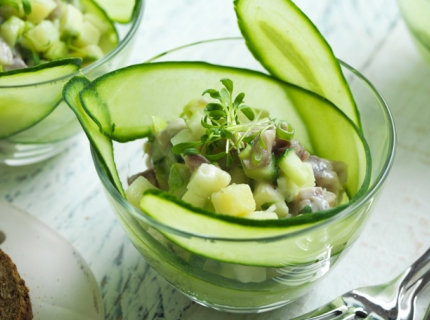 Tartare de maatjes au concombre