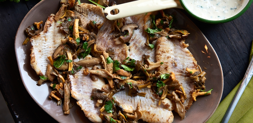 Filets de sébaste à la coriandre et aux champignons des bois