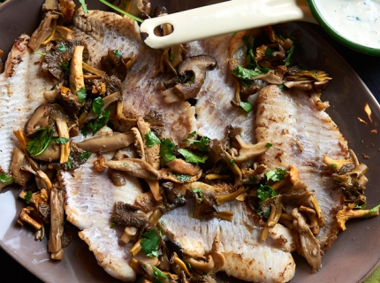 Filets de sébaste à la coriandre et aux champignons des bois