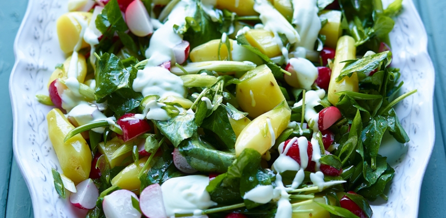 Salade de rattes, jeunes oignons, radis, cresson et yaourt au wasabi