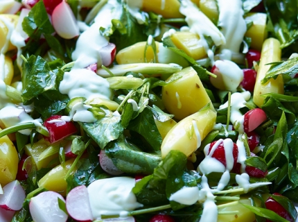 Salade de rattes, jeunes oignons, radis, cresson et yaourt au wasabi