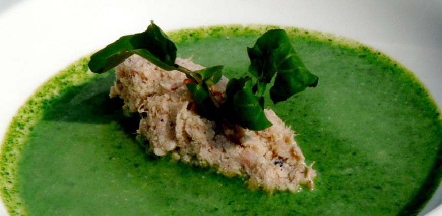 Rillettes de saumon et soupe glacée au cresson