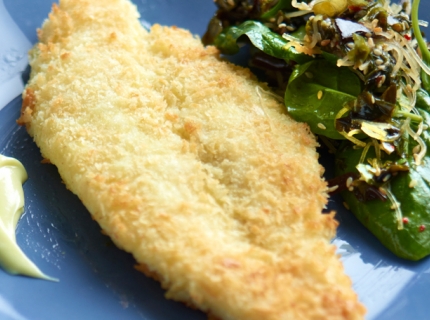 Filet de pangasius poêlé à la salade d’algues asiatiques