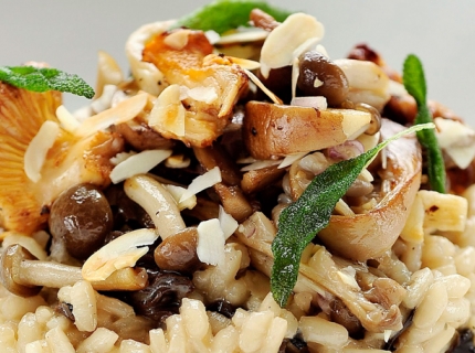 Risotto aux champignons des bois, amandes et sauge