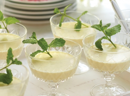 Panna Cotta à la menthe