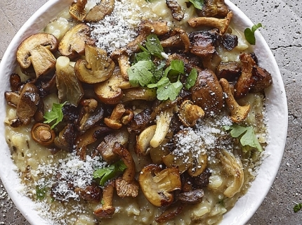 Risotto aux champignons