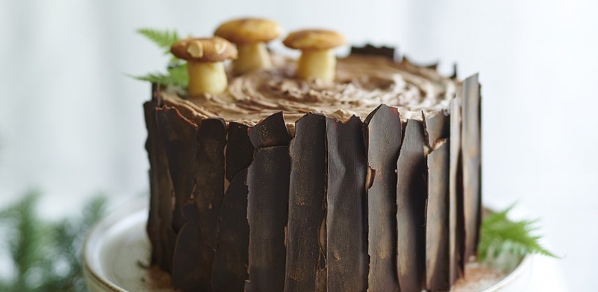 Bûche-souche d’arbre au chocolat et à la mousse chocolat-noisettes