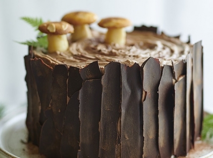 Bûche-souche d’arbre au chocolat et à la mousse chocolat-noisettes