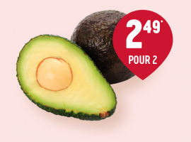 Avocat