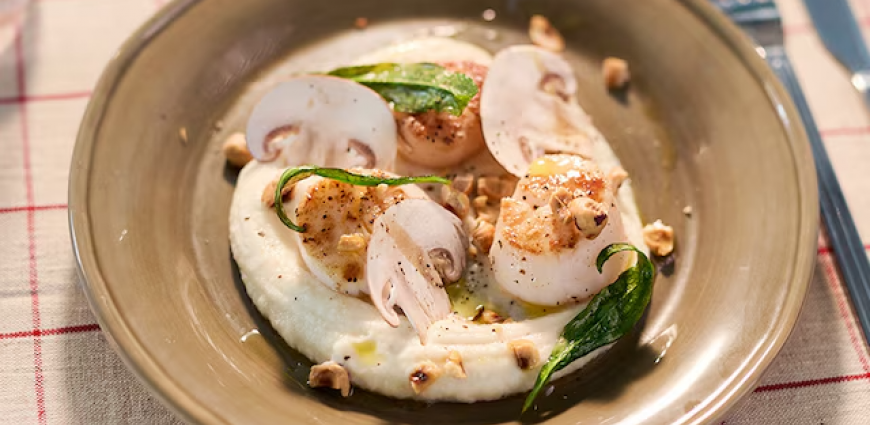 Saint-Jacques poêlées, crème de panais et épinards de mer