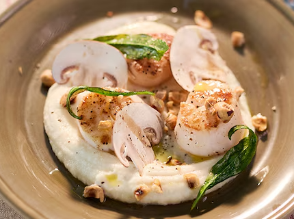 Saint-Jacques poêlées, crème de panais et épinards de mer