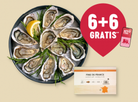 Huîtres Fine de France