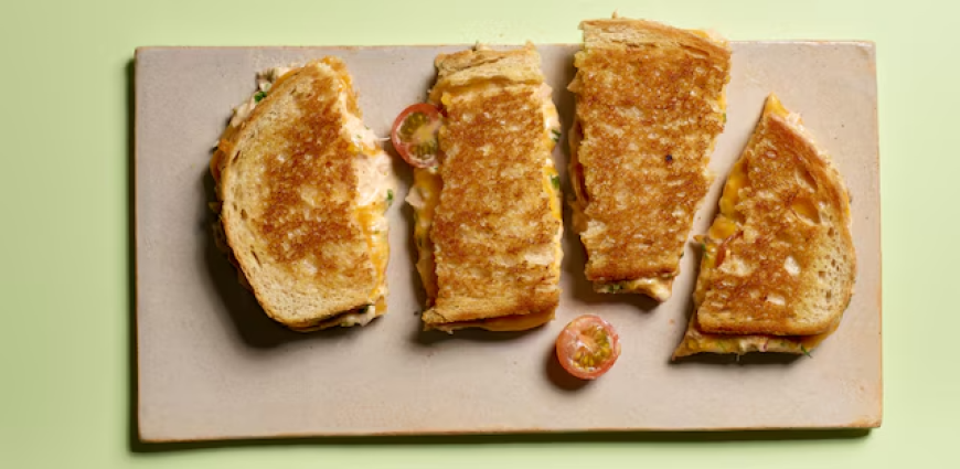 Tuna melt sandwich