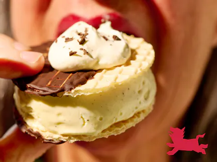 Sandwichs glacés façon dame blanche